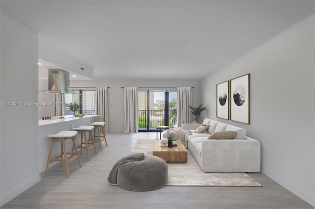 living room featuring light hardwood / wood-style flooring