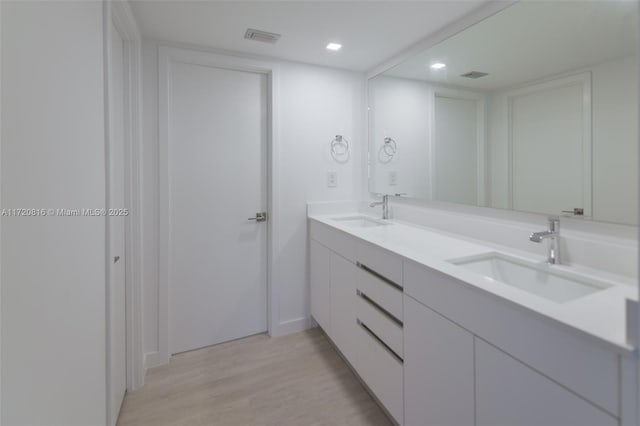 bathroom featuring wood-type flooring and vanity