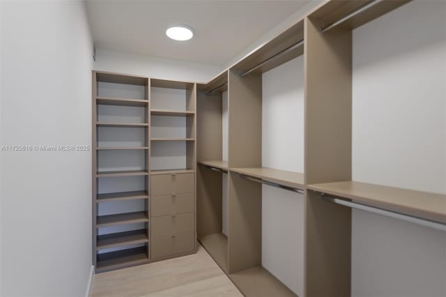 spacious closet featuring light hardwood / wood-style floors