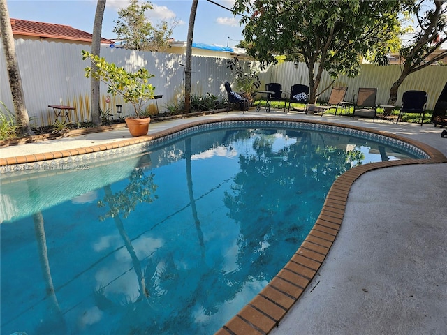 view of swimming pool