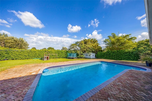 view of swimming pool with a yard, a trampoline, and a storage unit