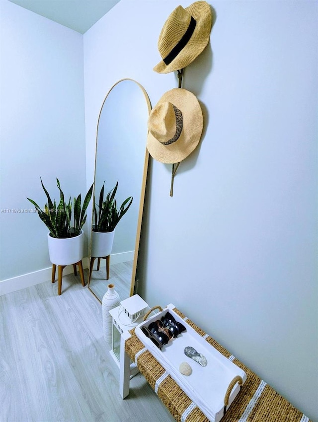 room details featuring baseboards and wood finished floors