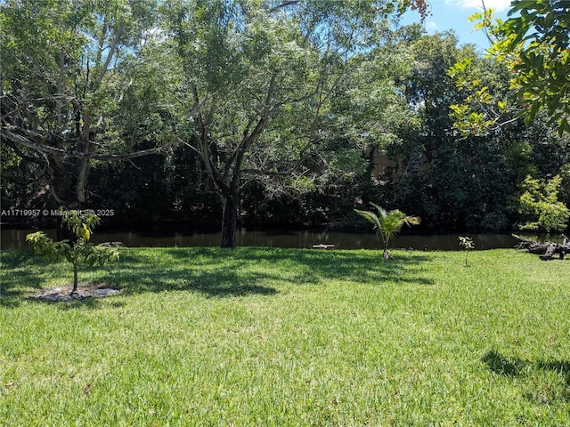 view of yard with a water view