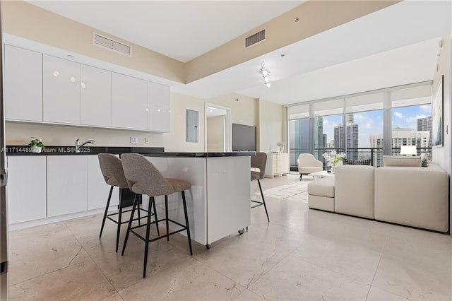 kitchen with a kitchen breakfast bar, electric panel, white cabinets, and floor to ceiling windows