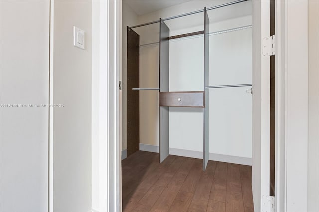 spacious closet with wood-type flooring