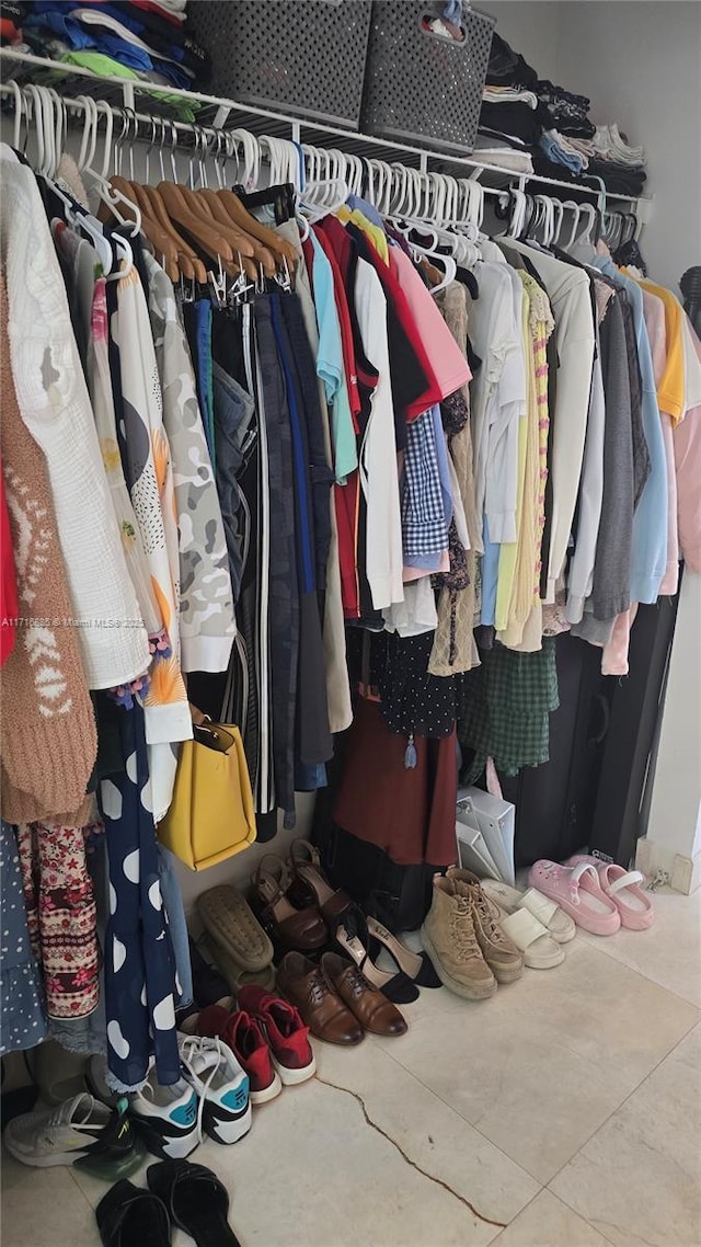 view of spacious closet