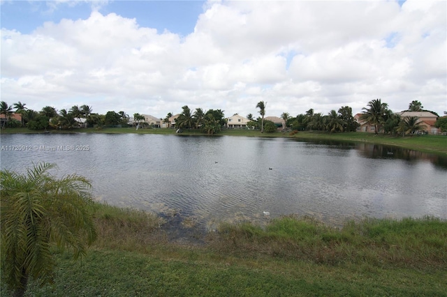 view of water feature