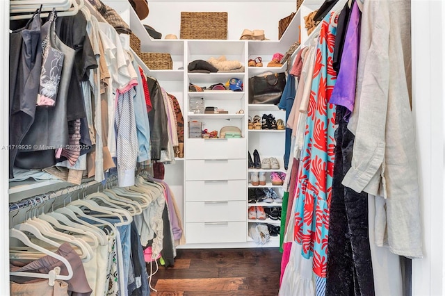 spacious closet featuring dark hardwood / wood-style flooring