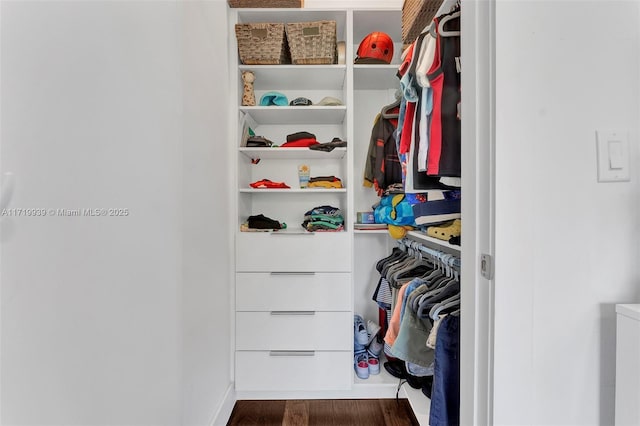 walk in closet with dark hardwood / wood-style flooring