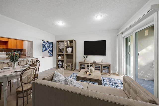 living room featuring a textured ceiling and light hardwood / wood-style flooring