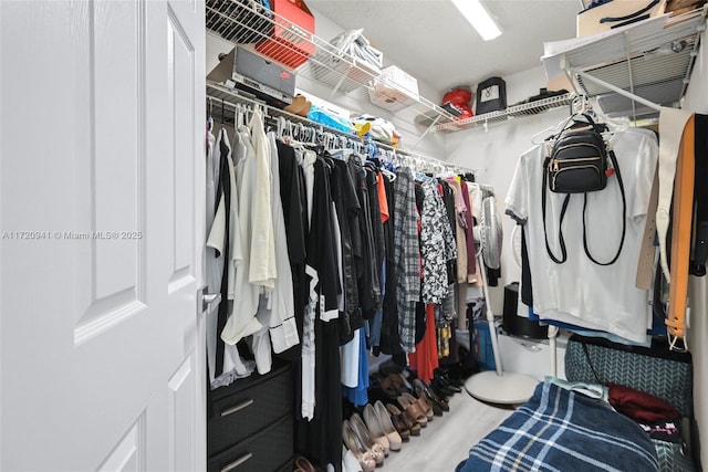 view of spacious closet