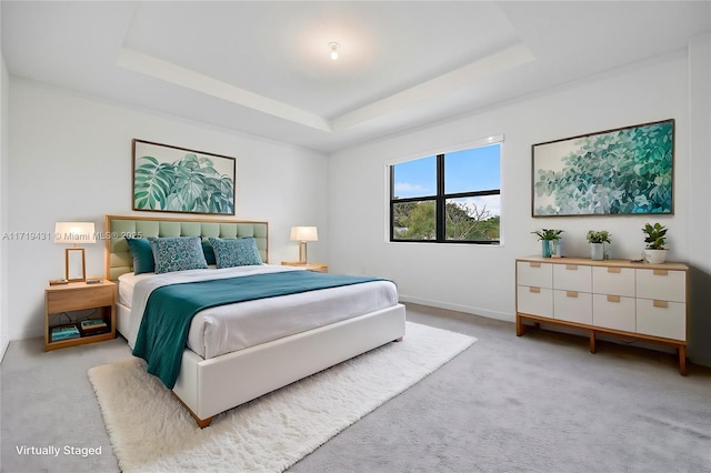 carpeted bedroom with a tray ceiling