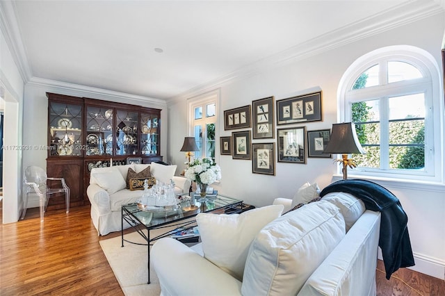 living room featuring ornamental molding, a healthy amount of sunlight, and wood-type flooring