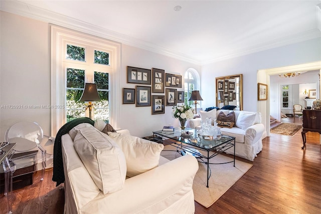 living room featuring dark hardwood / wood-style floors and crown molding