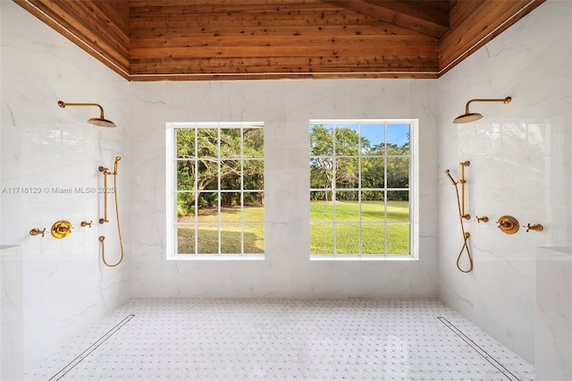 unfurnished sunroom with a healthy amount of sunlight and vaulted ceiling