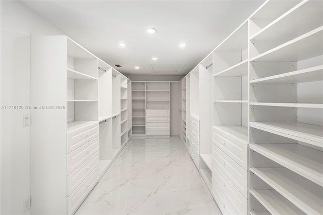 view of spacious closet