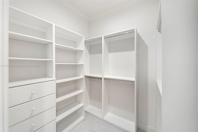 view of walk in closet