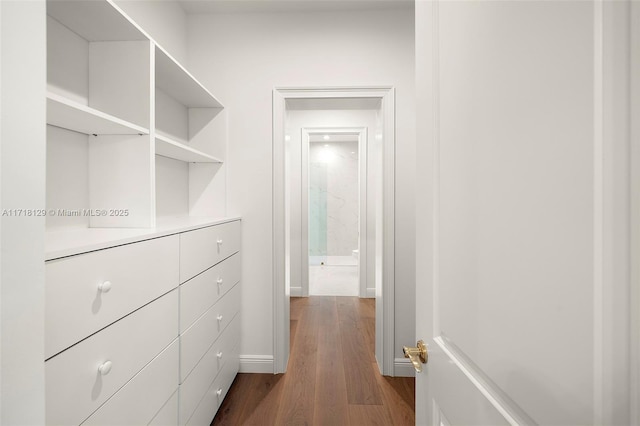 walk in closet with dark hardwood / wood-style flooring