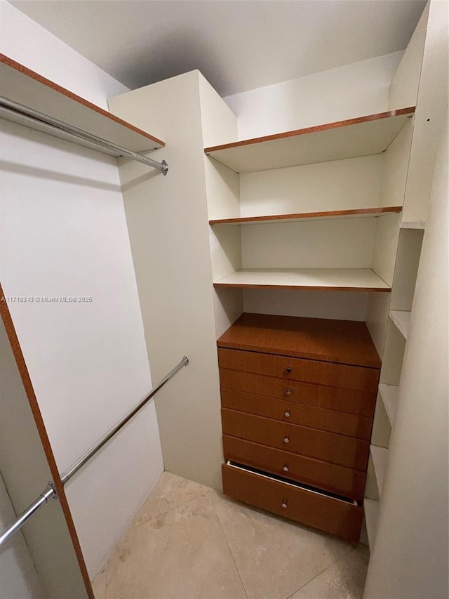 view of spacious closet