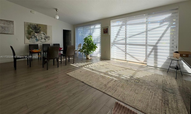 interior space with dark hardwood / wood-style flooring and lofted ceiling