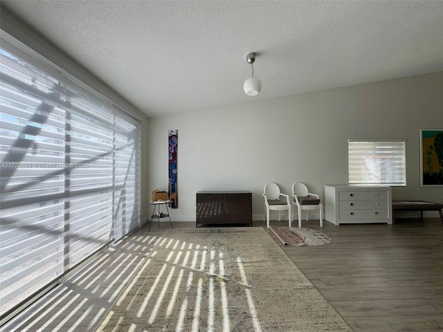 interior space with hardwood / wood-style flooring and a textured ceiling