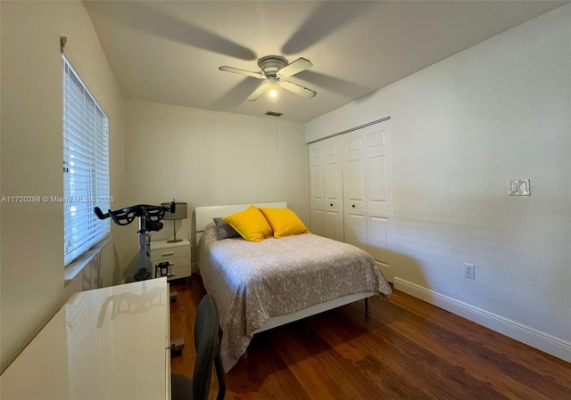 bedroom featuring dark hardwood / wood-style flooring, ceiling fan, and a closet