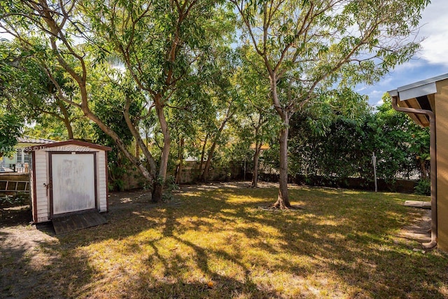 view of yard featuring a storage unit