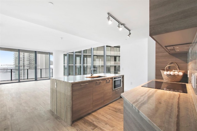 kitchen featuring floor to ceiling windows, sink, oven, black electric stovetop, and light wood-type flooring