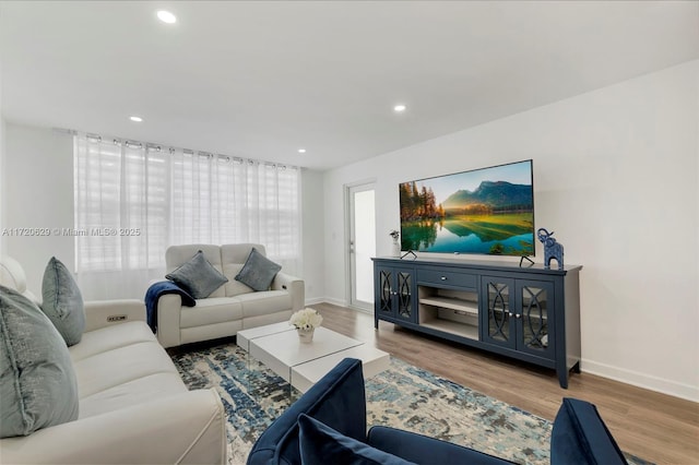 living room with hardwood / wood-style flooring