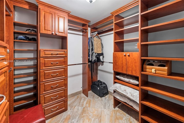 view of spacious closet