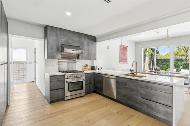 kitchen featuring sink, light wood-type flooring, and dishwasher