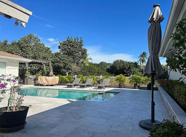 view of pool with a patio