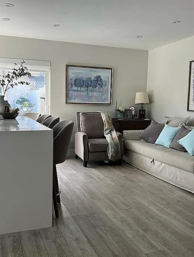 living room with hardwood / wood-style floors