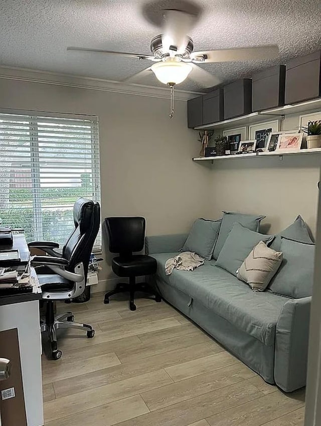 office area with ceiling fan, ornamental molding, a textured ceiling, and light hardwood / wood-style flooring