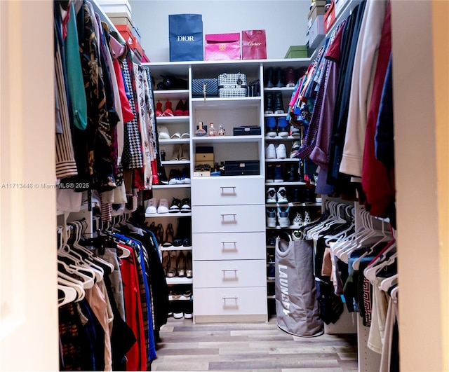 spacious closet featuring light hardwood / wood-style floors