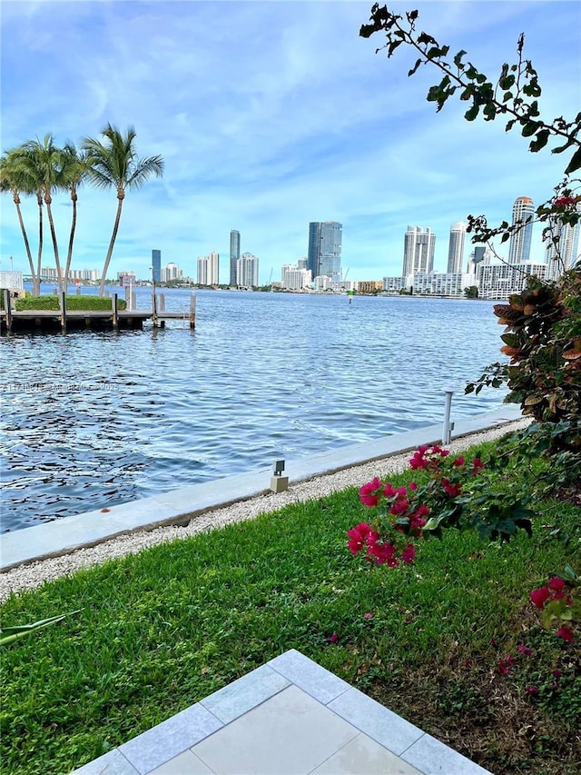 water view featuring a dock