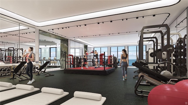 gym with floor to ceiling windows