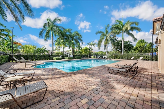 view of swimming pool featuring a patio