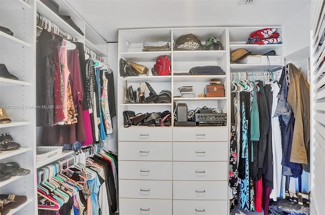 view of spacious closet