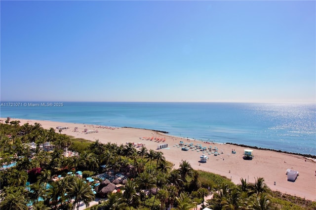 water view with a view of the beach