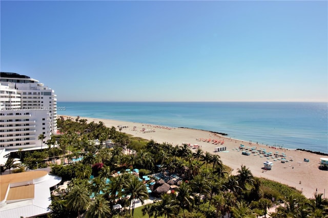 view of water feature featuring a beach view