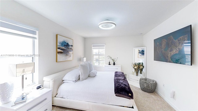 bedroom featuring carpet floors