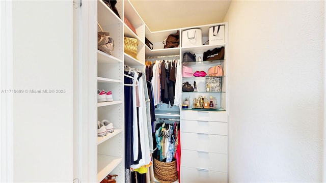 view of walk in closet