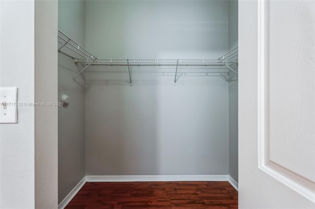 spacious closet featuring dark hardwood / wood-style flooring