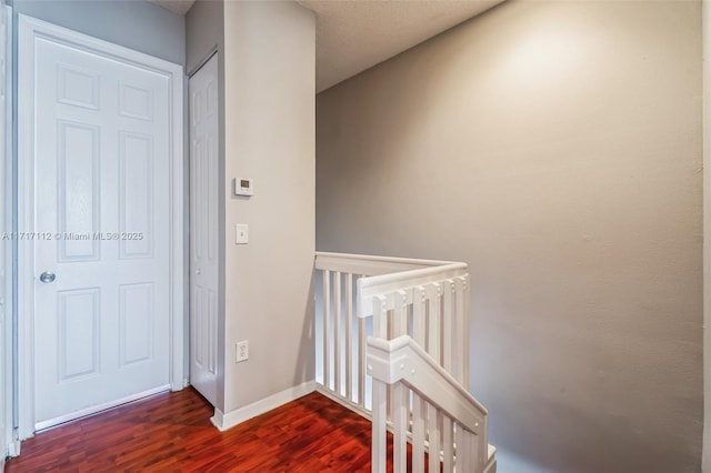 corridor with dark hardwood / wood-style floors