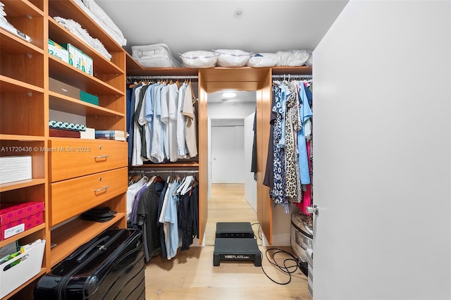 view of walk in closet