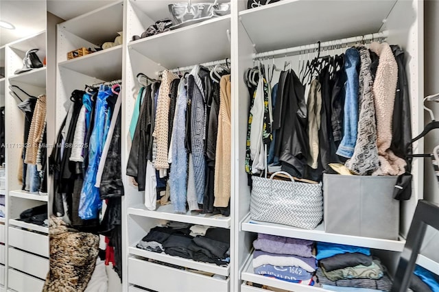 view of spacious closet