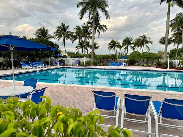 view of pool featuring a patio