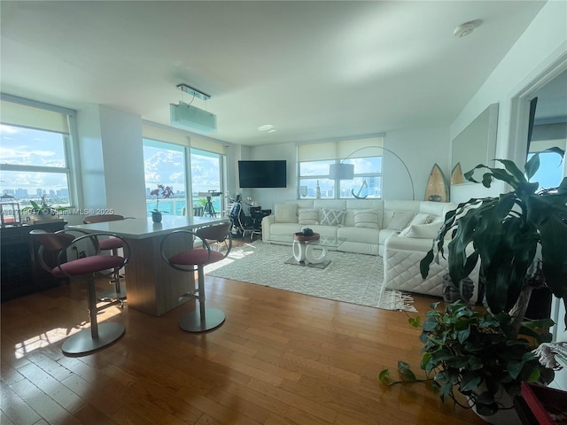 living room with wood-type flooring