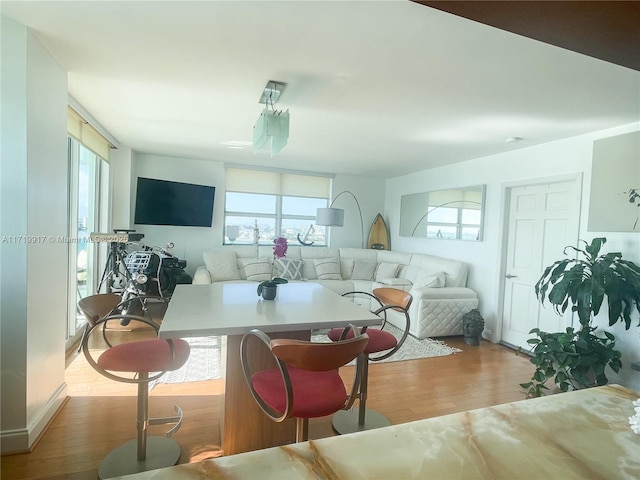 living room with light hardwood / wood-style floors